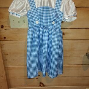Dorothy Wizard of Oz Halloween costume dress